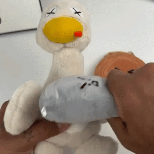 Rage Duck - När tålamodet tar slut